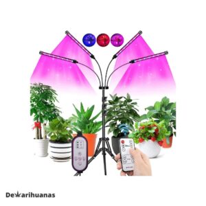 luz led cultivo de marihuana